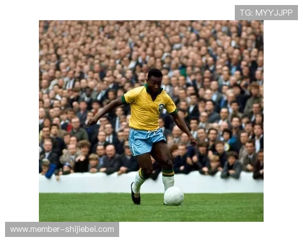 世界杯淘汰赛期间的精彩瞬间集锦，难忘的比赛瞬间回顾