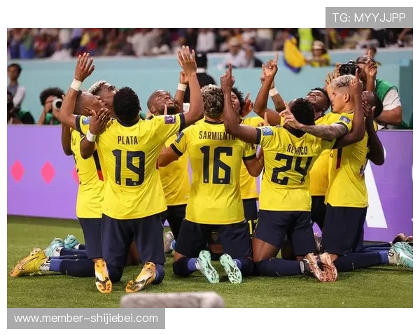 卡塔尔世界杯晋级球队名单最新更新，重点关注晋级过程中的精彩瞬间与关键战役